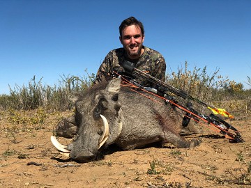 Súdafrica especial caza con arco Facocheros